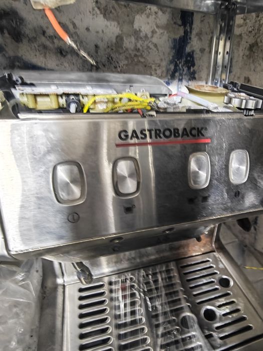 Gastroback,brewil,Sage,admiral