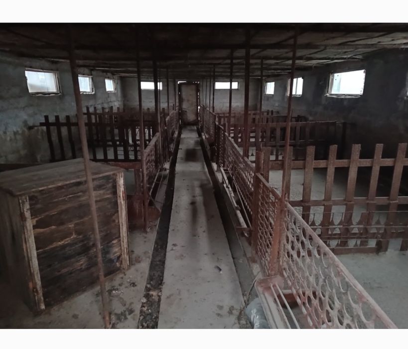 Дом участок Дача янгийол