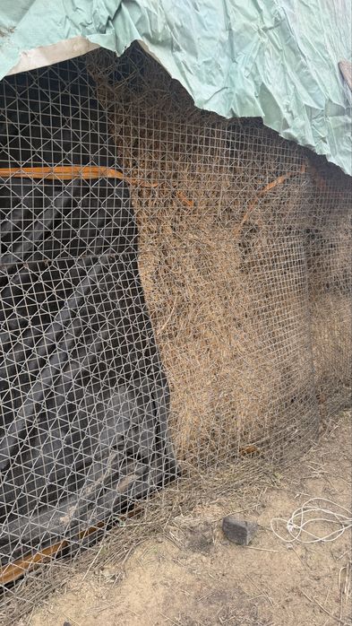 Жоңышқа сатылады