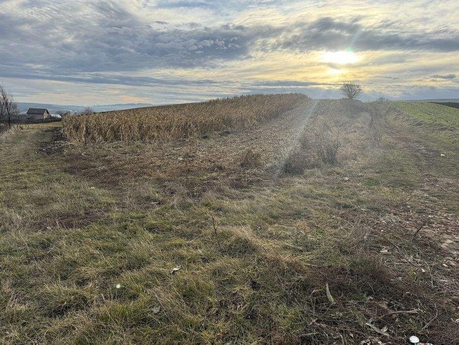 Vand teren in. Ceanu Mic la marginea satului extravilan /intravilan