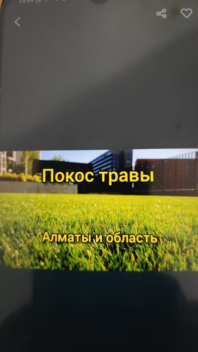 Покос травы триммером штиль