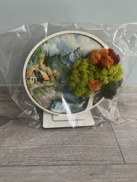 Ceasuri cu licheni.  Aranjamente din licheni