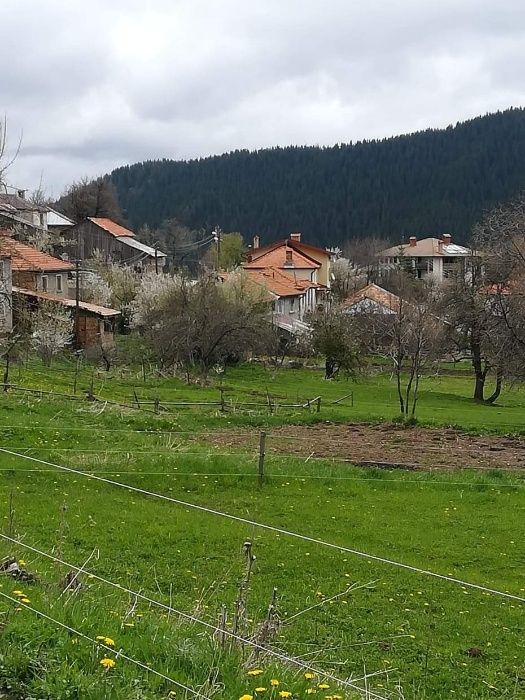 Парцели със страхотна панорама в с. Гела