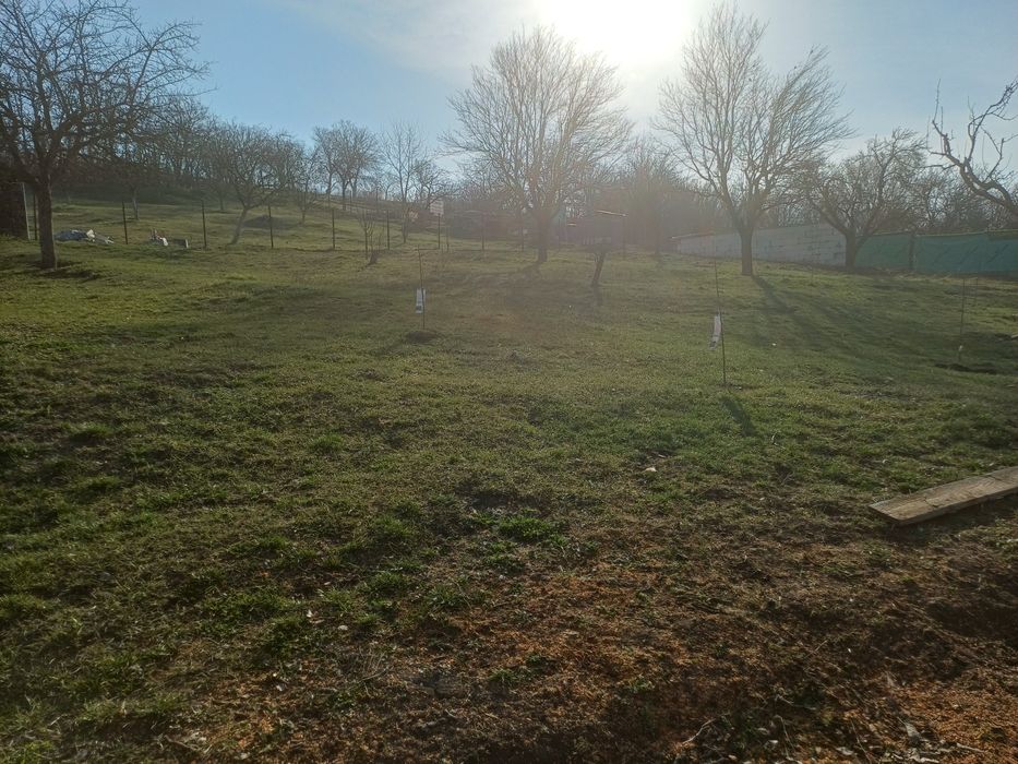 Loc de casă  10 ari intravilan.