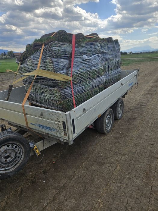 Pământ negru la adresă ,nisip, margaritar, basculabil