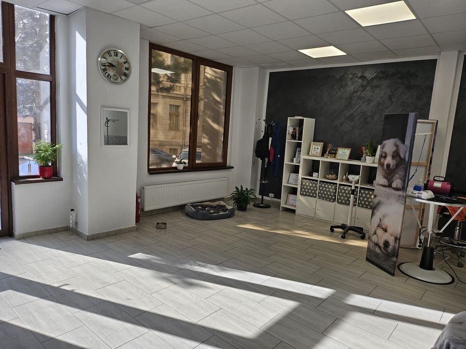 Spațiu comercial modern