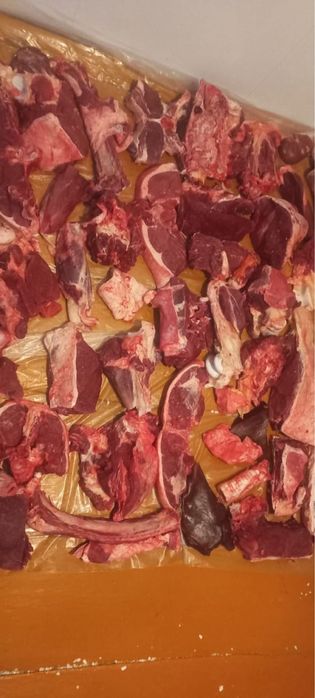 Продамм согым!!!