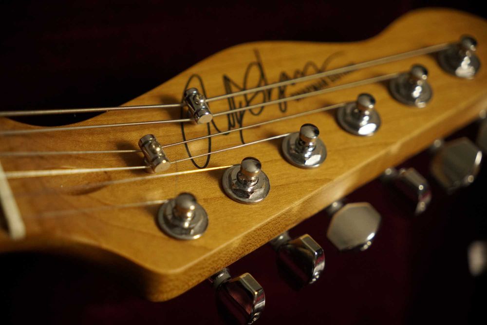 Chitara Chapman ML3 Pro traditional