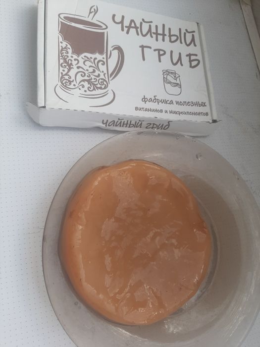 Чайный гриб.продам.