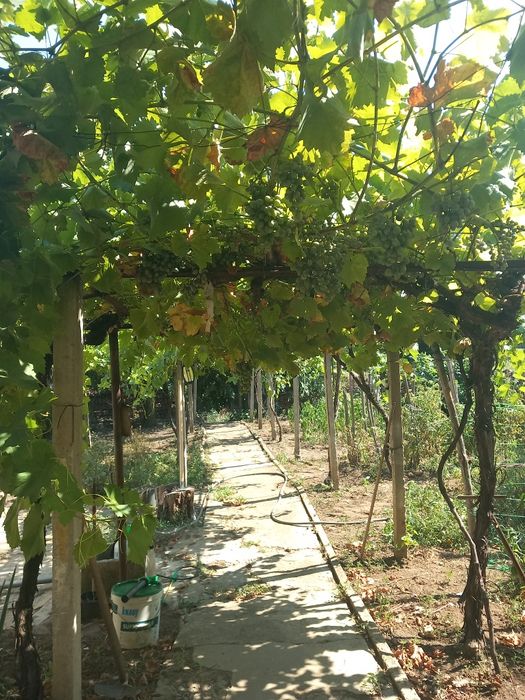 Продава се Къща в Сухиндол - 80 кв.м за 128 €/кв.м - Снимка #5