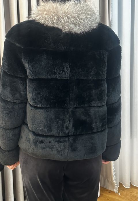 Blana din chinchilla