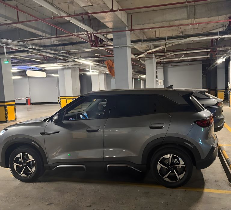 Byd yuan up 2024