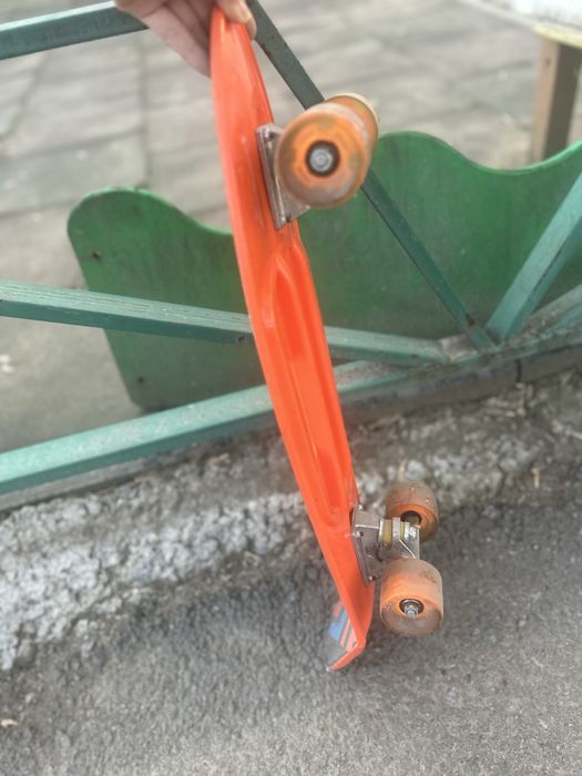 Пинеборт большой