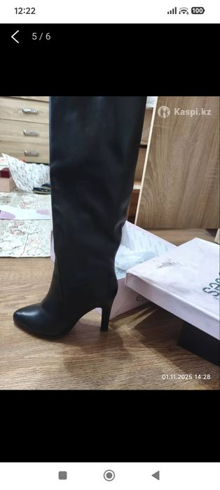 Зимние сапоги erisses