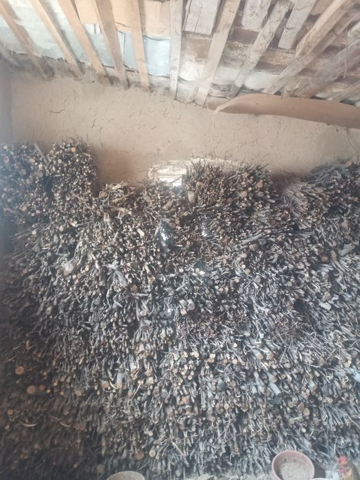 Taýor o'tin sotiladi