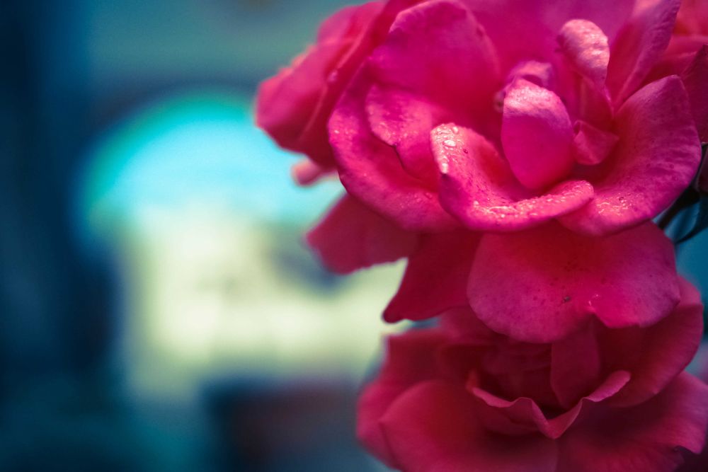 Обектив 7artisans AF 50mm f/1.8 FF за Sony E-mount