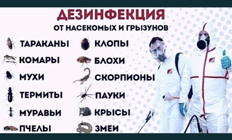 СКИДКИ 20%Дезенфекция дизенфекция дезинфекция дизинфекция dizinfeksiya