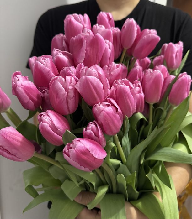 Тюльпаны оптом от 500