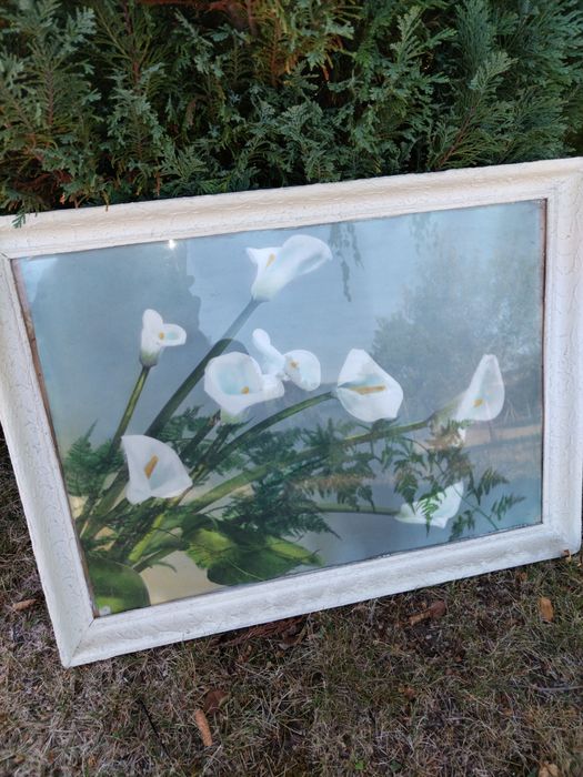 Антики. За всекиго по нещо.