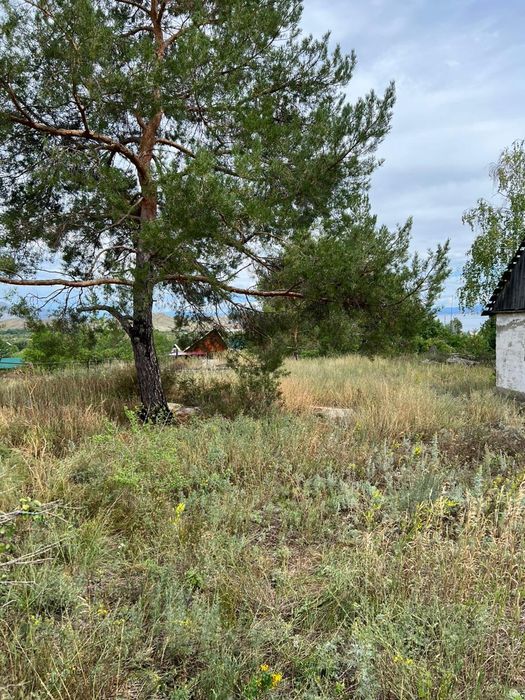 Продам участок на Бухтарме.