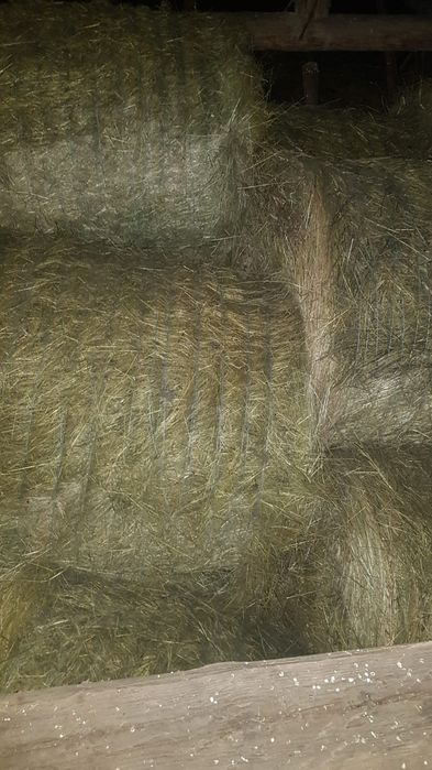 Baloți rotunzi fân