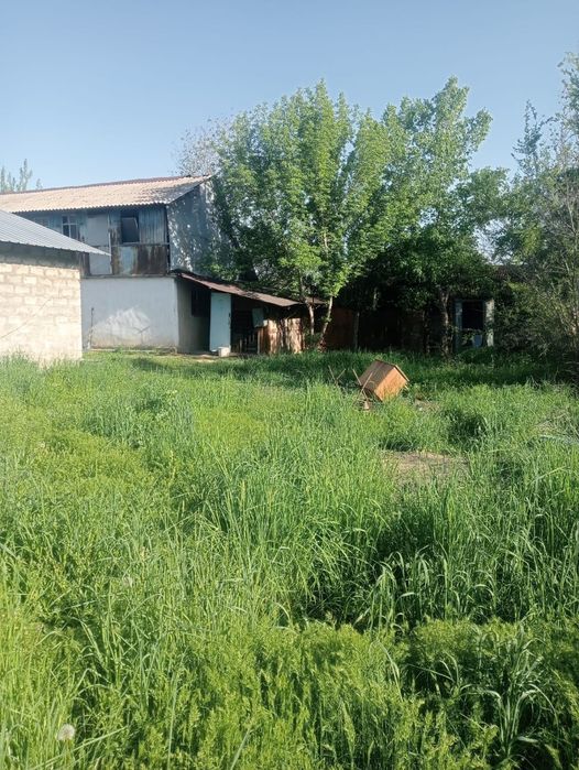 Продам 2 дома селекция