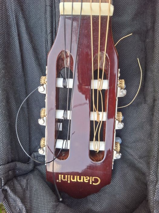 Giannini GCX-15N Classical Guitar (Gigi)+ GEWA