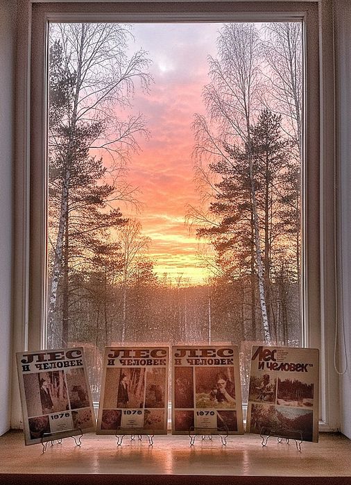 Журнал «Лес и Человек». Ежегодник +200 страниц. СССР