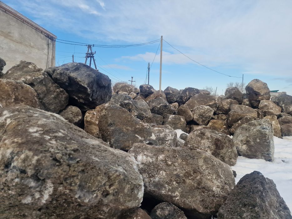 Туз.бидай.жмых.тартылған бидай