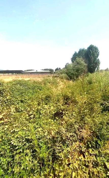 ЕР  участкаси Сотилади  5 сотик времянкаси бор Кибрай рн Чинобод