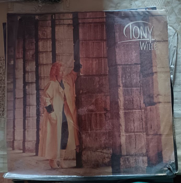 Lot 30 Discuri Vinil Electrecord