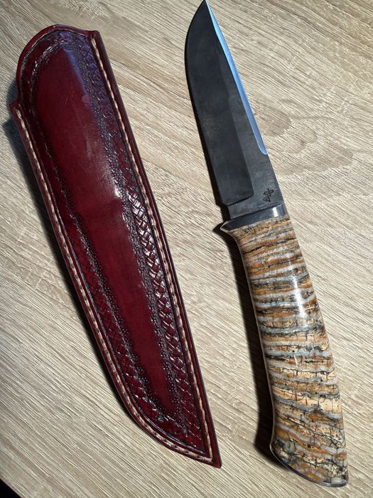 Cutit molar fosilizat 6000+