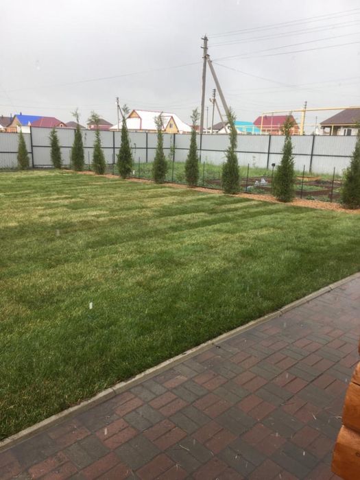 Газон зеленый  сочный газон под ключ