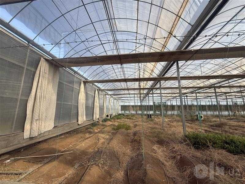 Gidroponika va oddiy usuldagi issiqxona inshoati