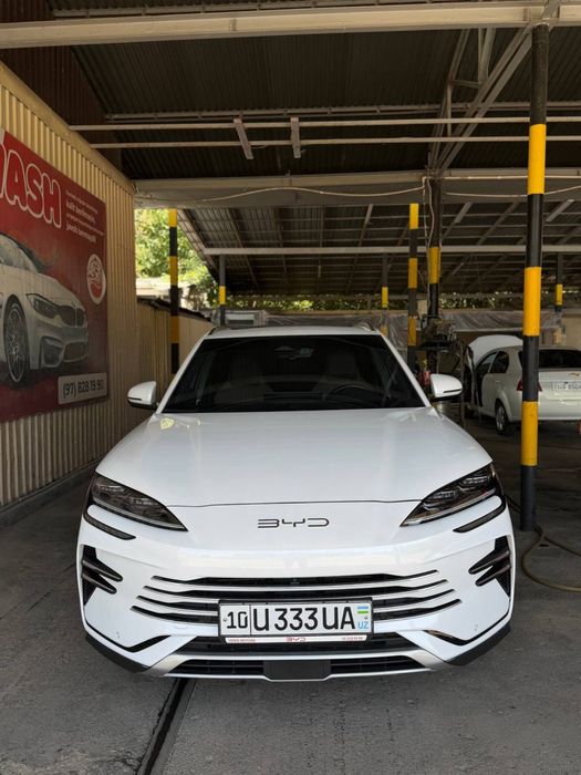 Byd chempion Gibrit 150 tali