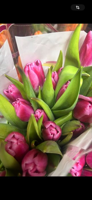 Тюльпаны 600 тенге