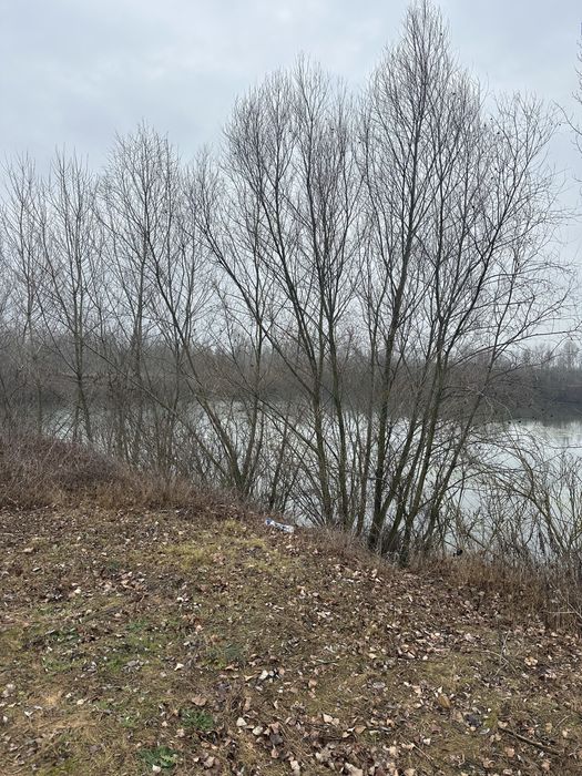 Lac de pescuit balta