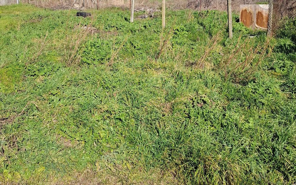 Продава се Етаж от къща в с. Тънково, Област Бургас - 114 кв.м за 448 €/кв.м - Снимка #12