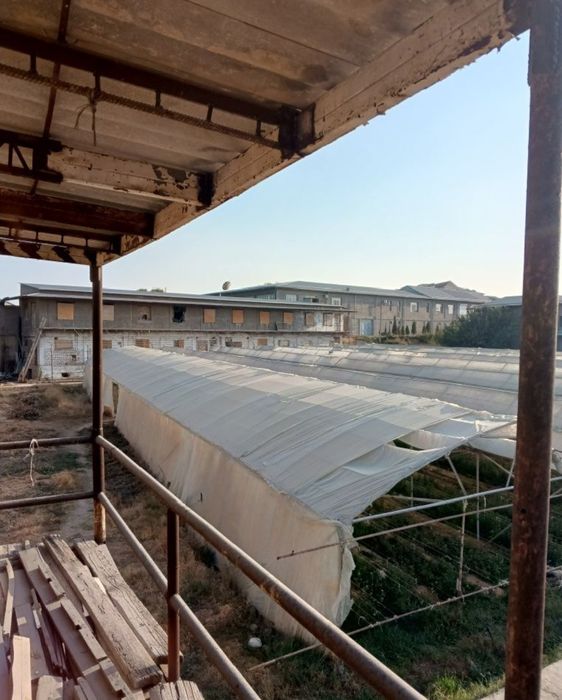 ferma arendaga beriladi