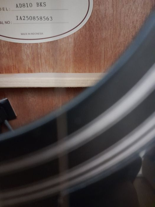 Трансаккустическая гитара