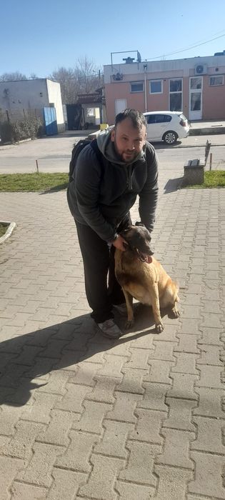 Plimb catei in Sibiu