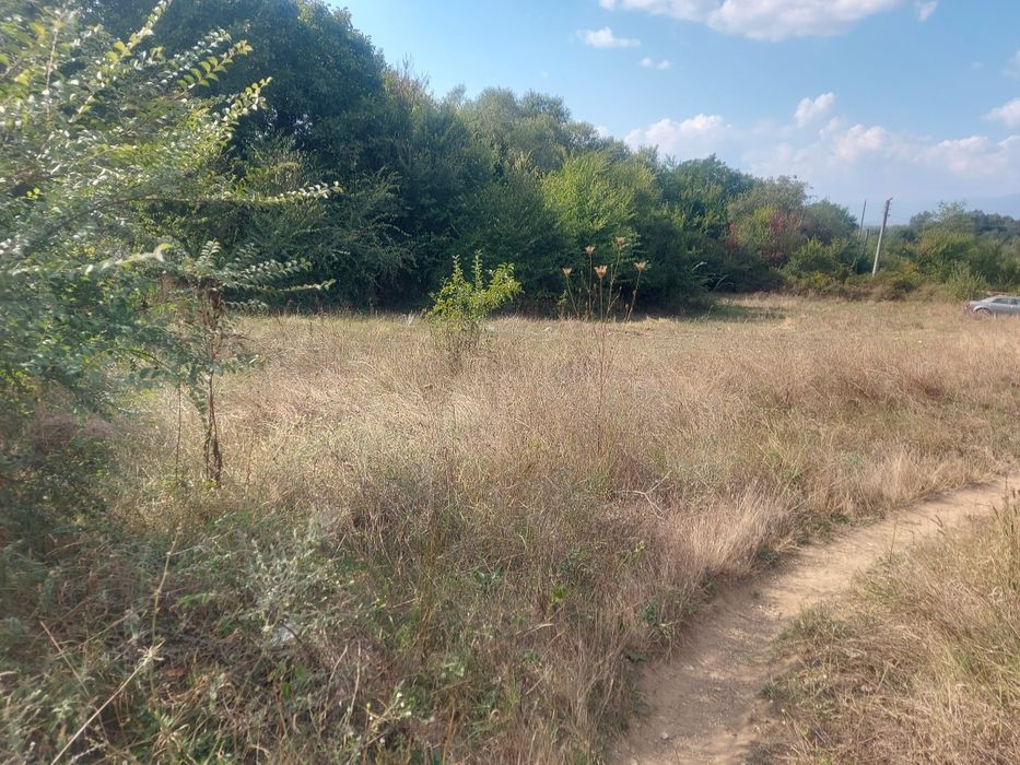 Продава се Парцел в с. Пролом, Област Пловдив - 2090 кв.м за 6 €/кв.м - Снимка #8