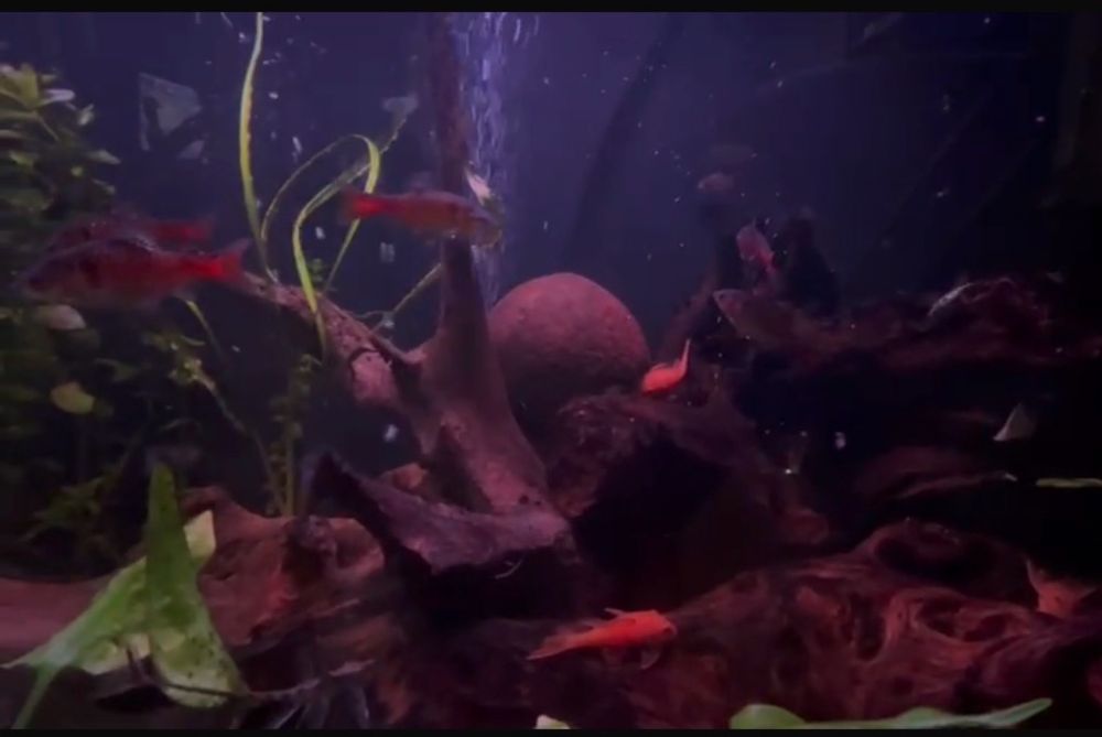 Продам или обменяю