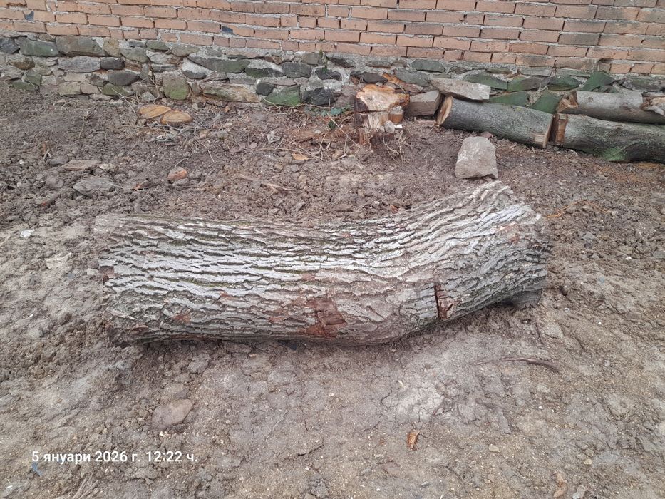 Дърва от орех за материал