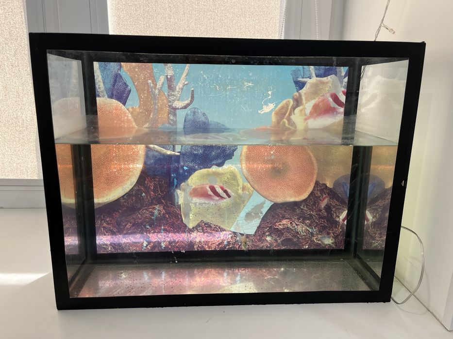 Аквариум с рыбками