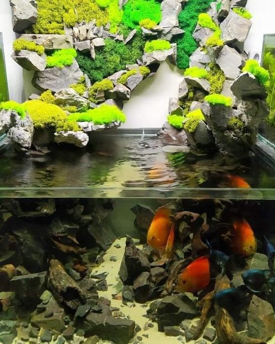 Декоративный камни для аквариума