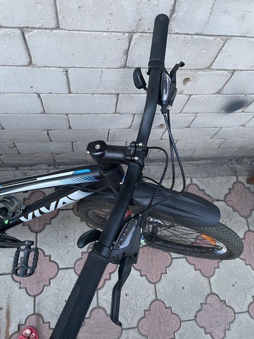 Велосипед Viva cruiser 1