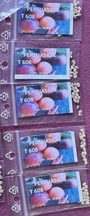 Seminte tomate Persuasion