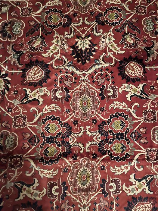 Gaina bhbnnnbbhhjhhhhhhh