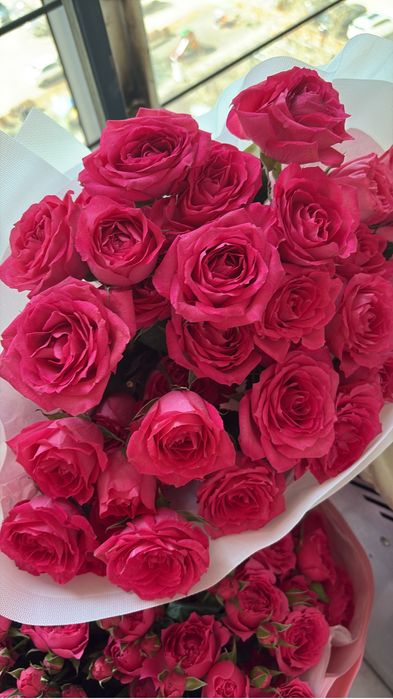 Продам цветы от 5-8 тысяч